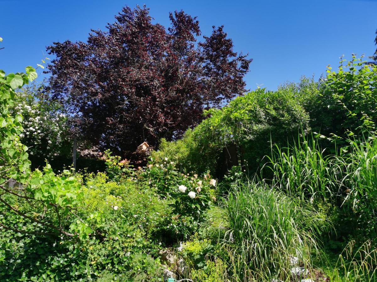 Appartement Naehe Spieleland à Vogt Extérieur photo